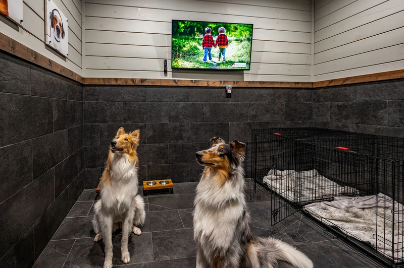 LUCID DREAMS LODGE