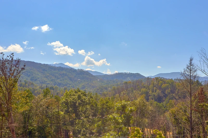 MOUNTAIN VIEW POOL LODGE