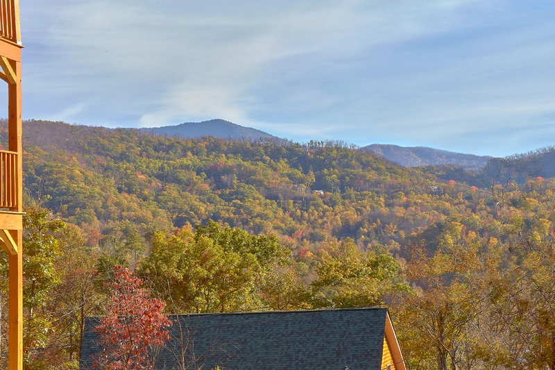 MOUNTAIN VIEW POOL LODGE