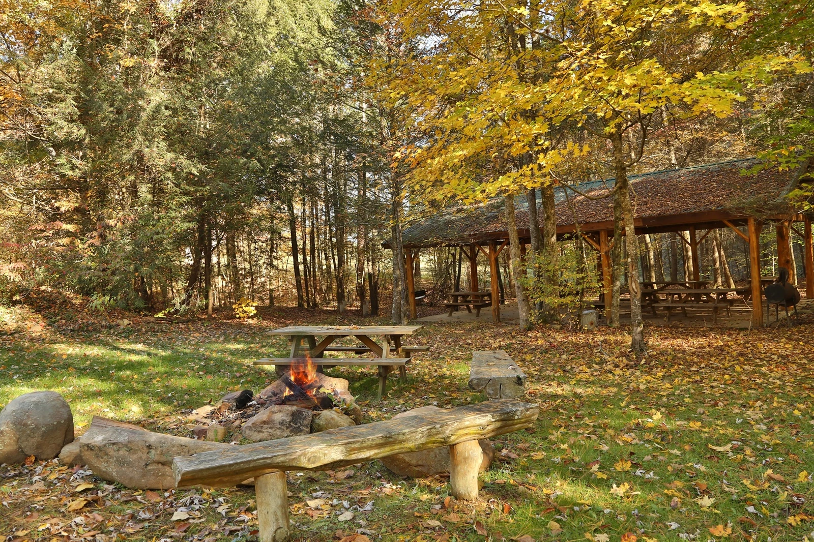SMOKY BEAR MANOR