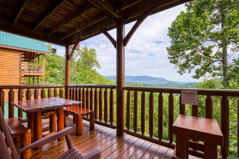 TENNESSEE DREAMIN'