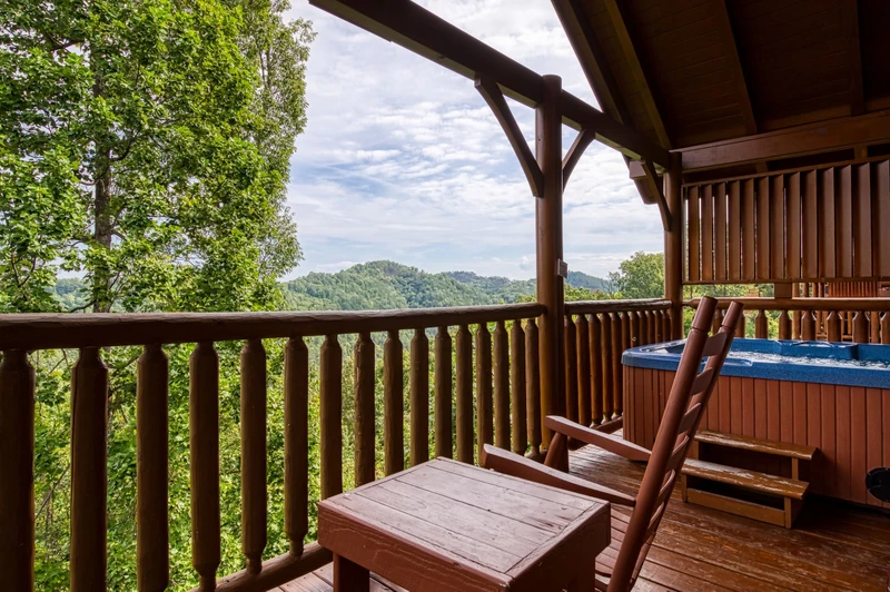 TENNESSEE DREAMIN'