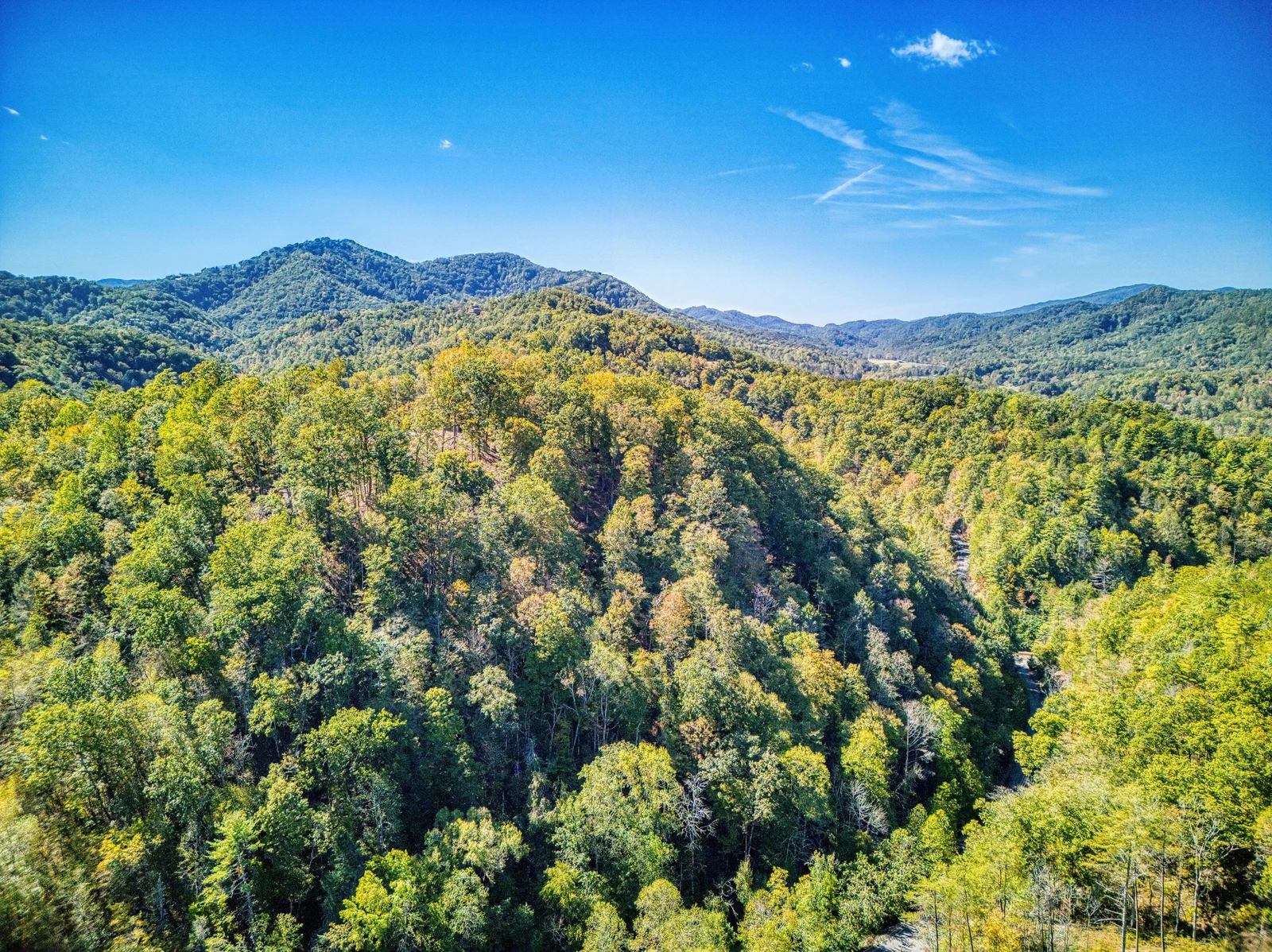 WALDEN'S RIDGE SPLASH