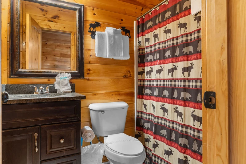 THE BIG MOOSE LODGE