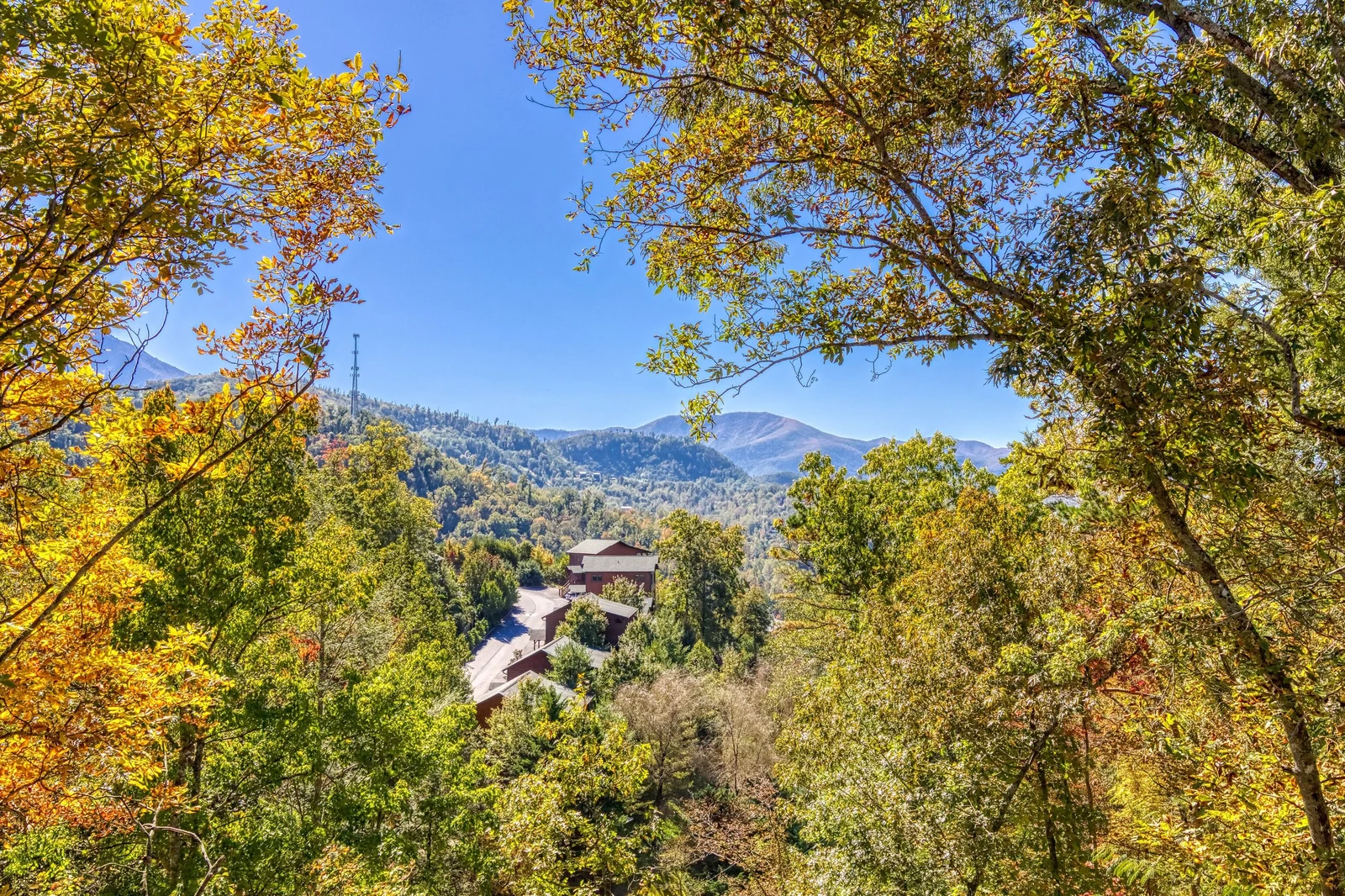 WANDERIN' BEAR LODGE