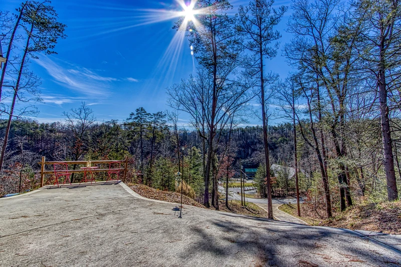 TREETOP VIEWS