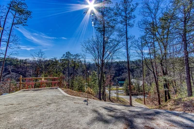 TREETOP VIEWS