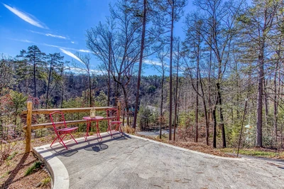 TREETOP VIEWS